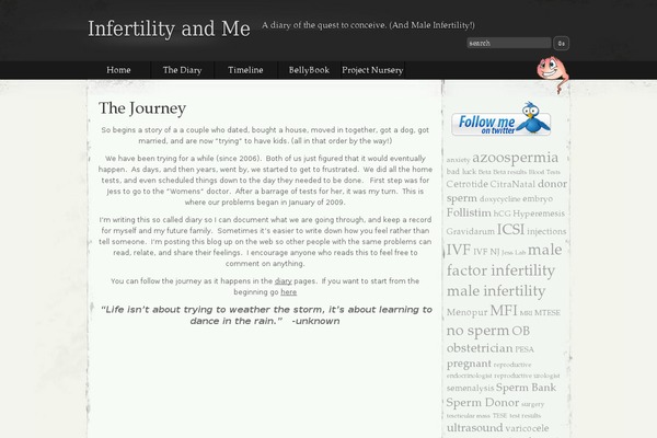 infertility-and-me.com site used Modified-elegant-grunge