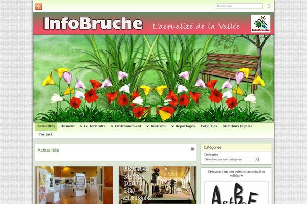 infobruche.fr site used Graphene-2
