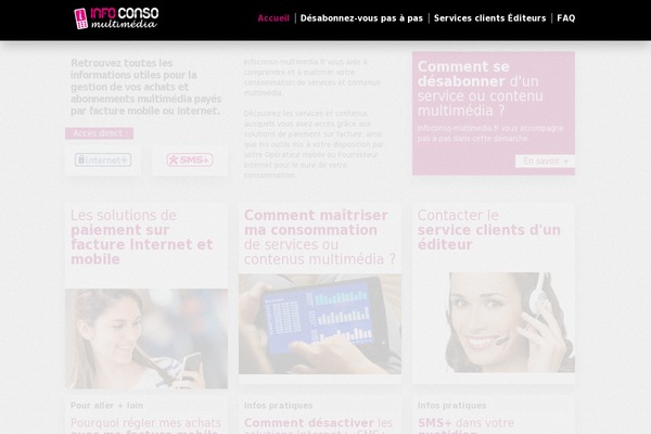 entity WordPress theme, websites list used entity theme entity theme websites examples