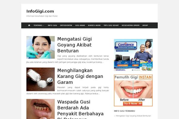 WordPress website example screenshot