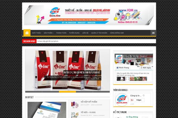 WordPress website example screenshot
