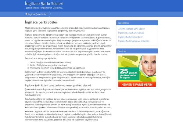 ingilizcesarkisozleri.com site used Ultimate Silostorm Pro