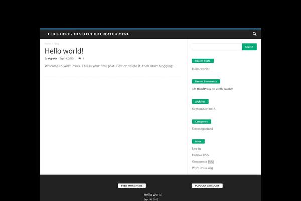 WordPress website example screenshot