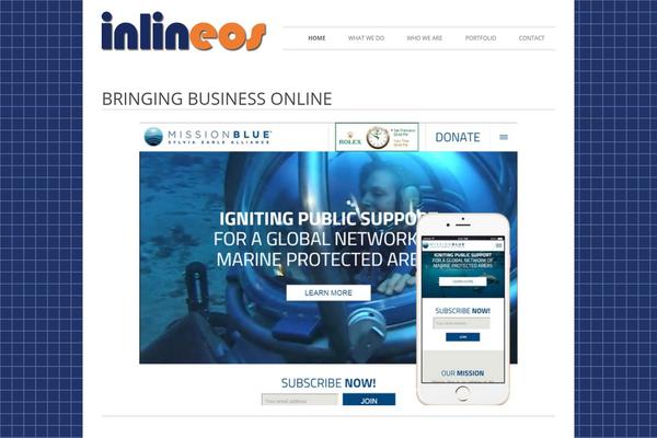 inlineos.com site used Twentytwelve-illc