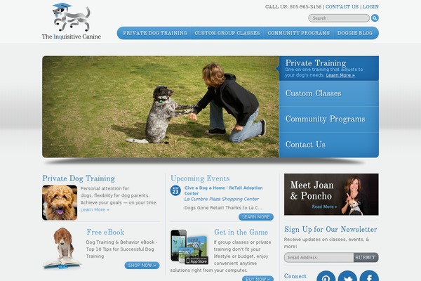 Dog theme site design template sample