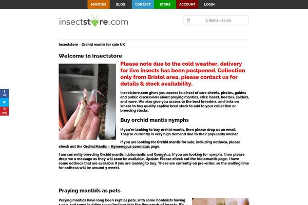 insectstore.com site used HTML5 Blank