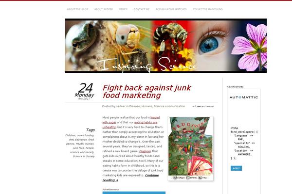 WordPress website example screenshot