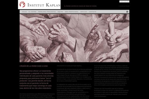 institut-kaplan.com site used Kaplan