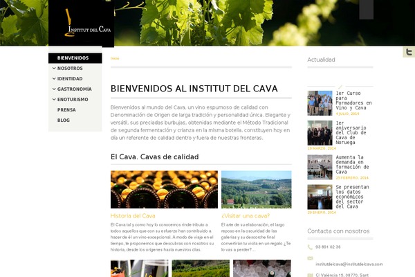 institutdelcava.com site used Institut