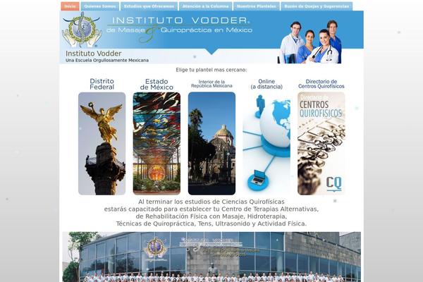 institutovodder.com site used Vodder_2014_azul