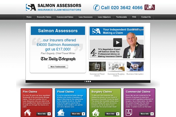 Salmon theme site design template sample