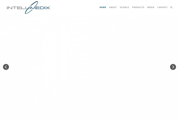 Bridge theme site design template sample