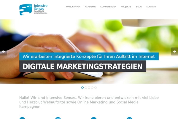 Site using Alpine PhotoTile for Instagram plugin