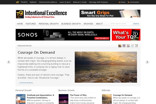 intentionalexcellence.com site used Wp-clear-ie