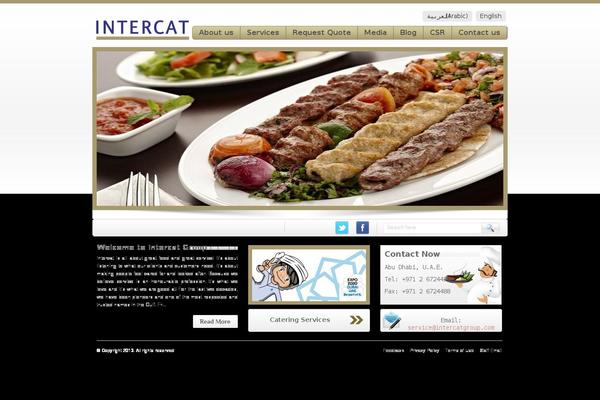 intercatgroup.com site used Intercat