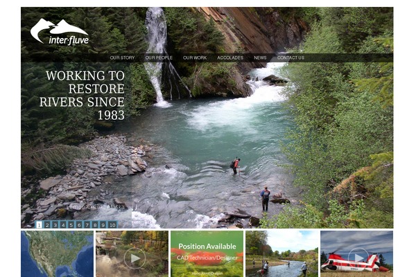 Site using Category Posts Widget plugin