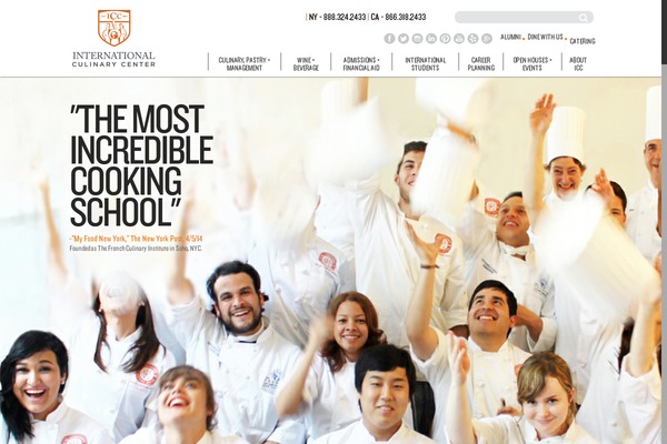 icc theme websites examples