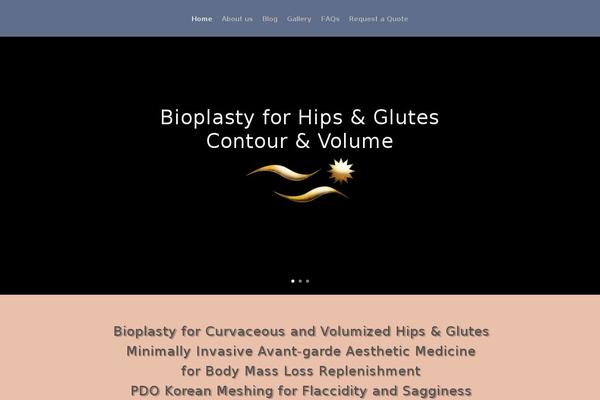 internationalsurgery.com site used The-bioplasty-international-center