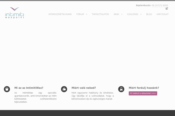 BritaNews theme site design template sample