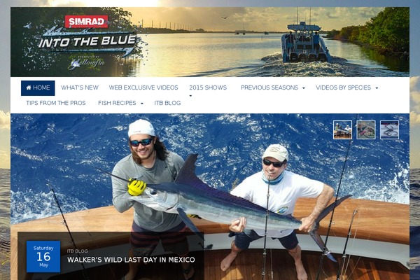 intotheblue.tv site used Vipress