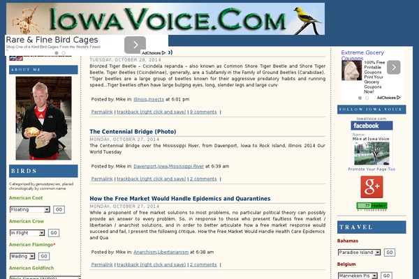 Site using Disqus Comment System plugin