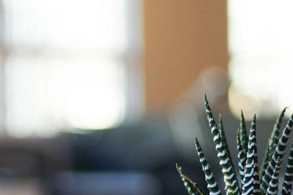 Twenty Seventeen theme site design template sample