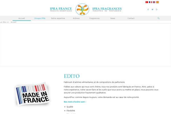 Enfold theme site design template sample