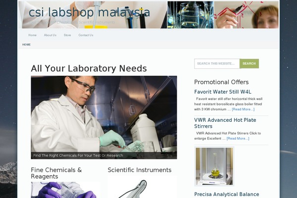 WordPress website example screenshot