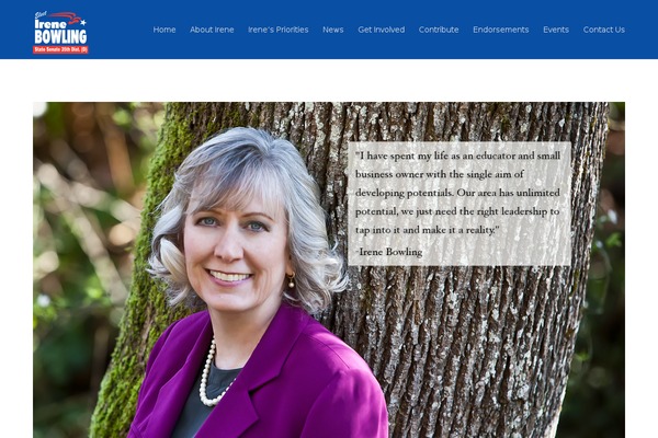 WordPress website example screenshot
