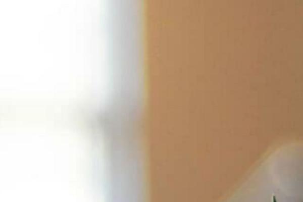 Twenty Seventeen theme site design template sample