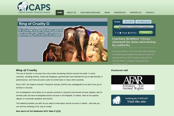 Caps theme site design template sample