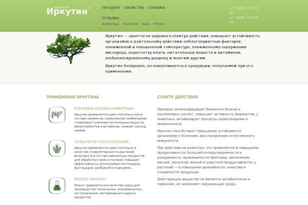 irkutin.ru site used Irkutin
