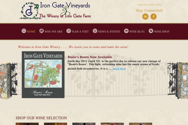WordPress website example screenshot