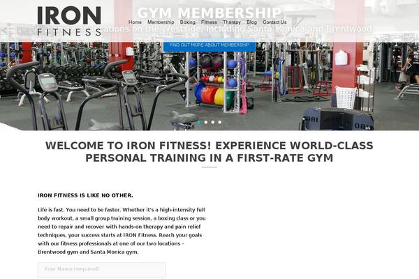 Iron theme site design template sample