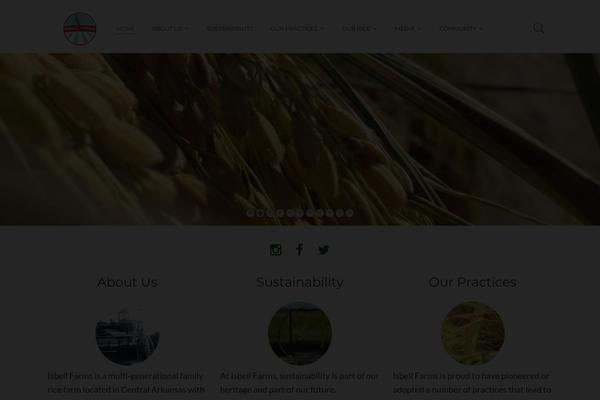 Zorka theme site design template sample