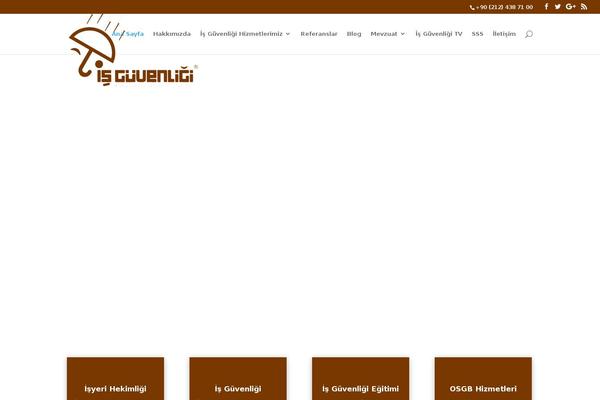 isguvenligi.com.tr site used Isguvenligi