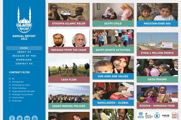 islamic-relief.net site used Irw