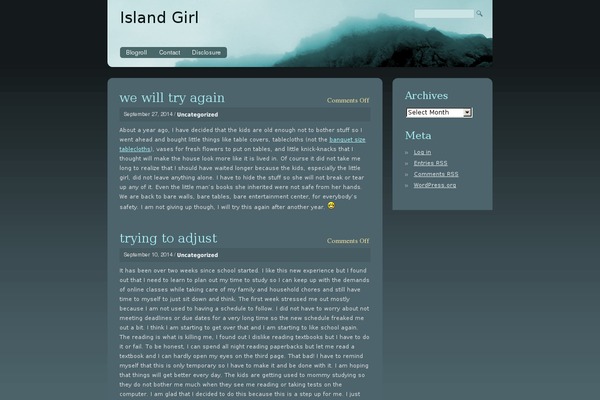 WordPress website example screenshot