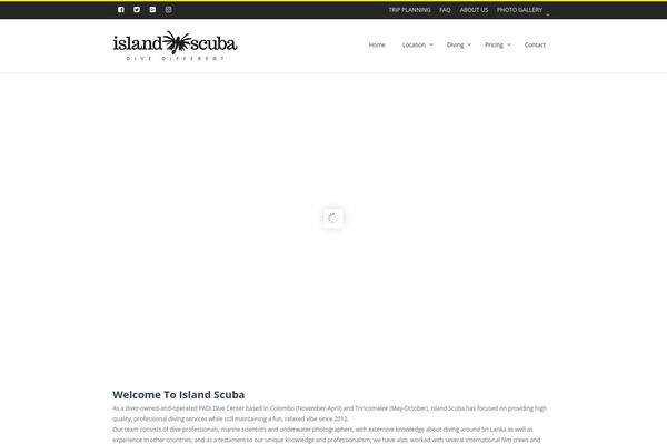 Salient theme site design template sample