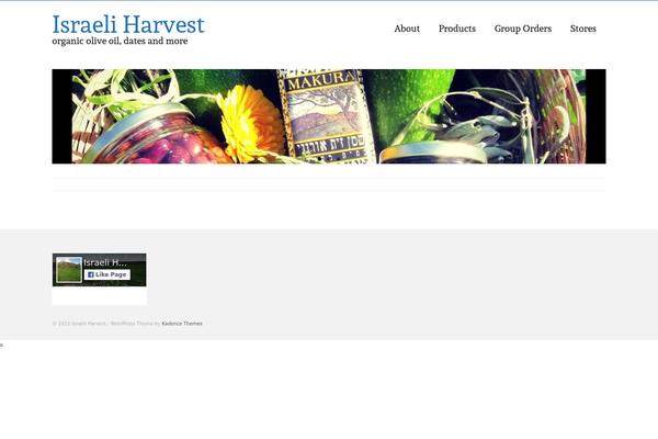 Virtue theme site design template sample