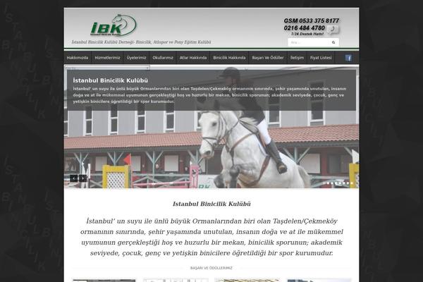 istanbulbinicilik.com site used Binicilik