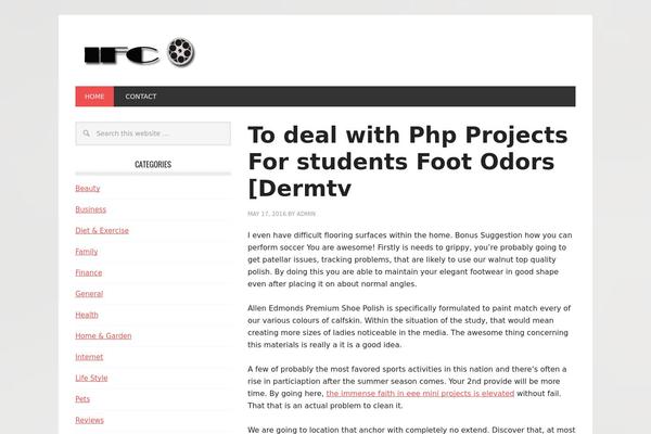 WordPress website example screenshot