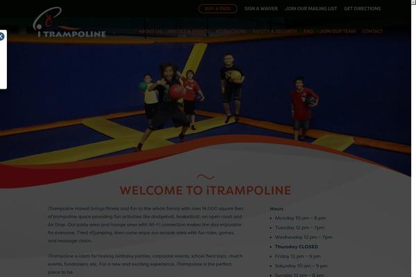 Angle theme site design template sample