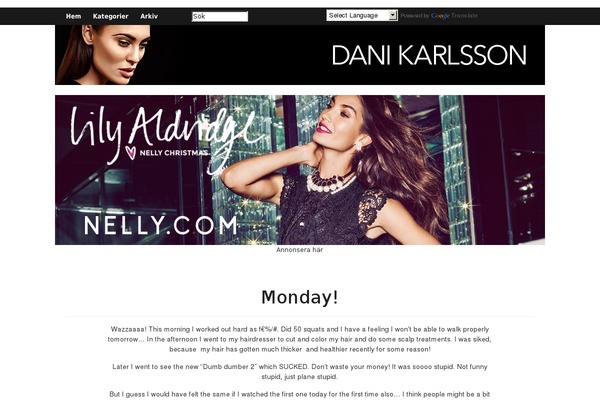 Dani website example screenshot