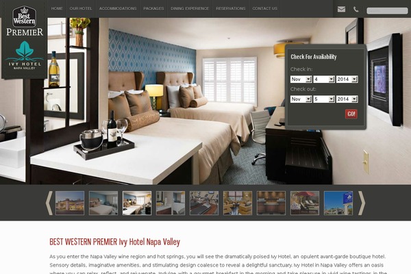 Napa WordPress theme, websites list used Napa theme Napa theme websites examples