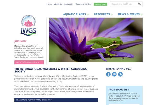 iwgs.org site used Iwgs