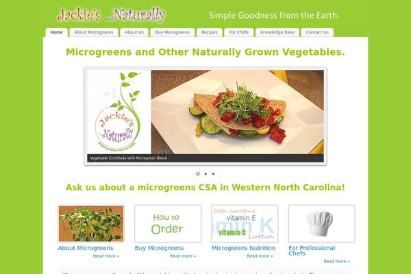 Mantra theme site design template sample