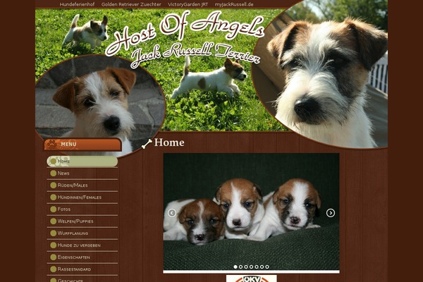 jackrussellzuechter.at site used Pet_animals_for_adoption