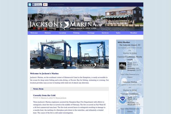 WordPress website example screenshot