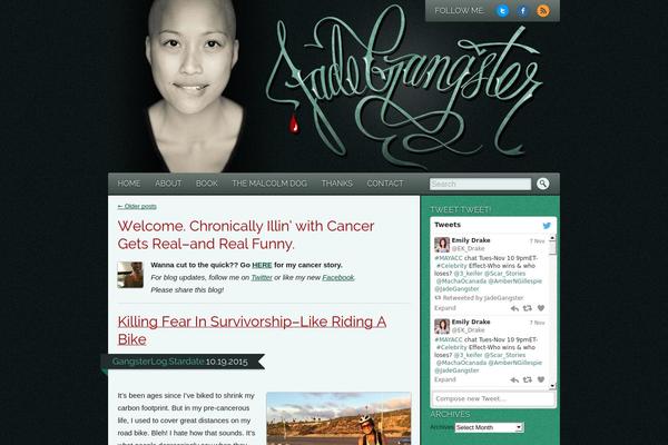 Site using Instapress plugin